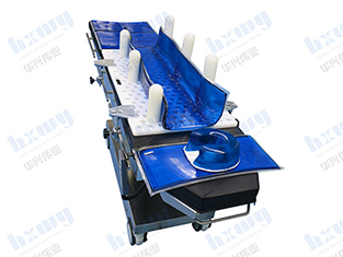 側臥位定位系統